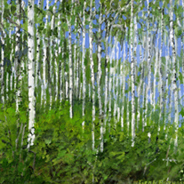 George H. Rothacker - Utah - Field of Aspens