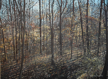 George H. Rothacker - Main Line - Ithan Woods