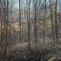 George H. Rothacker - Main Line - Ithan Woods